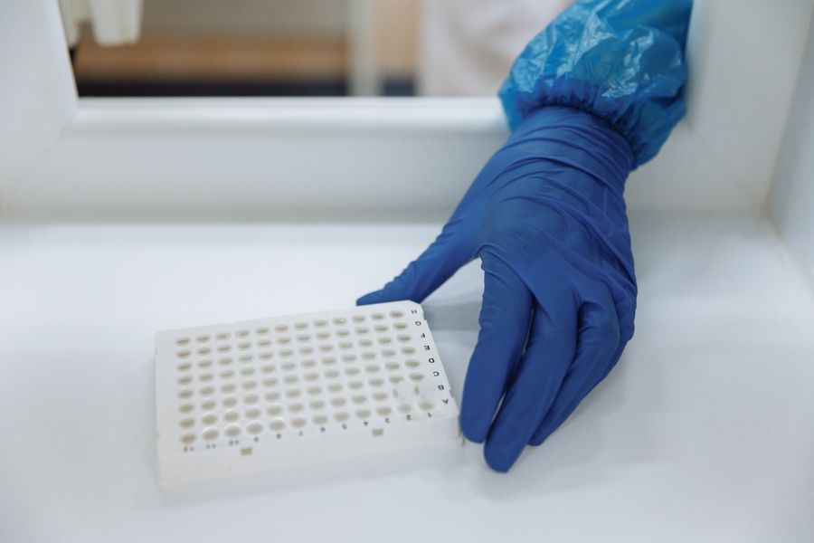 A gloved hand holding a laboratory sample tray