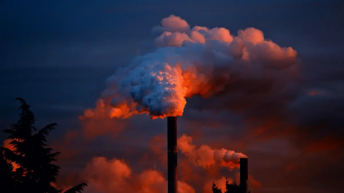 Smoke from an industrial plant chimney.