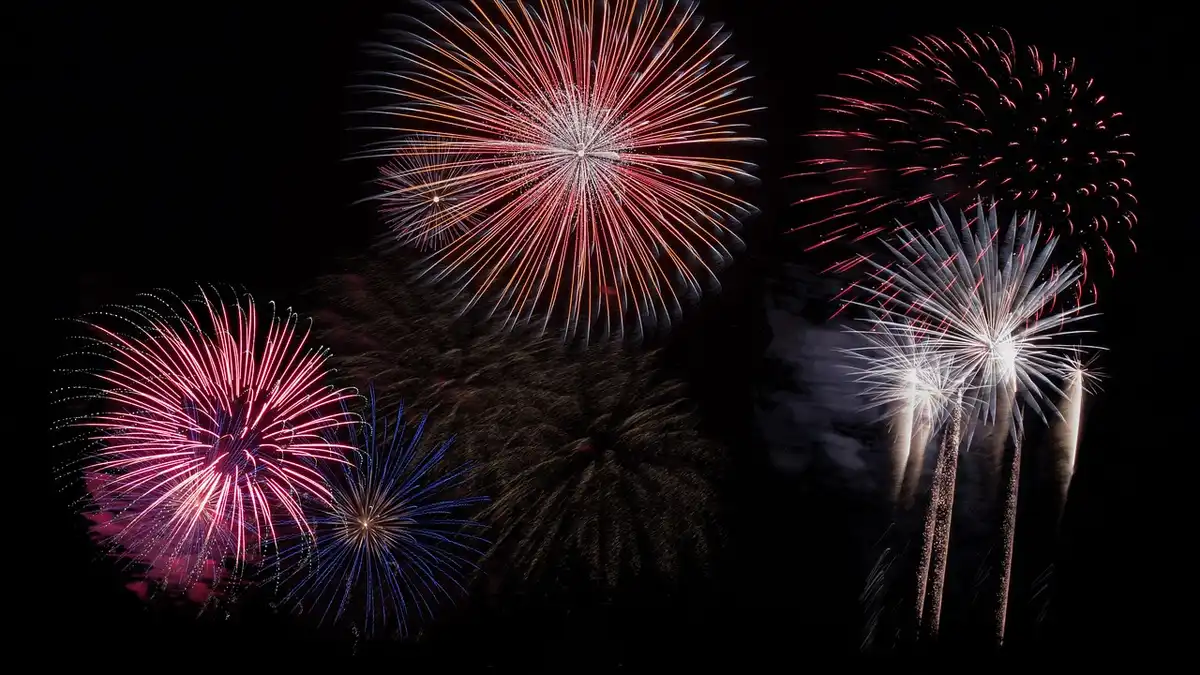 Colourful fireworks in the night sky.
