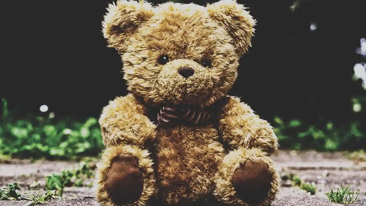 A furry plush teddy bear.