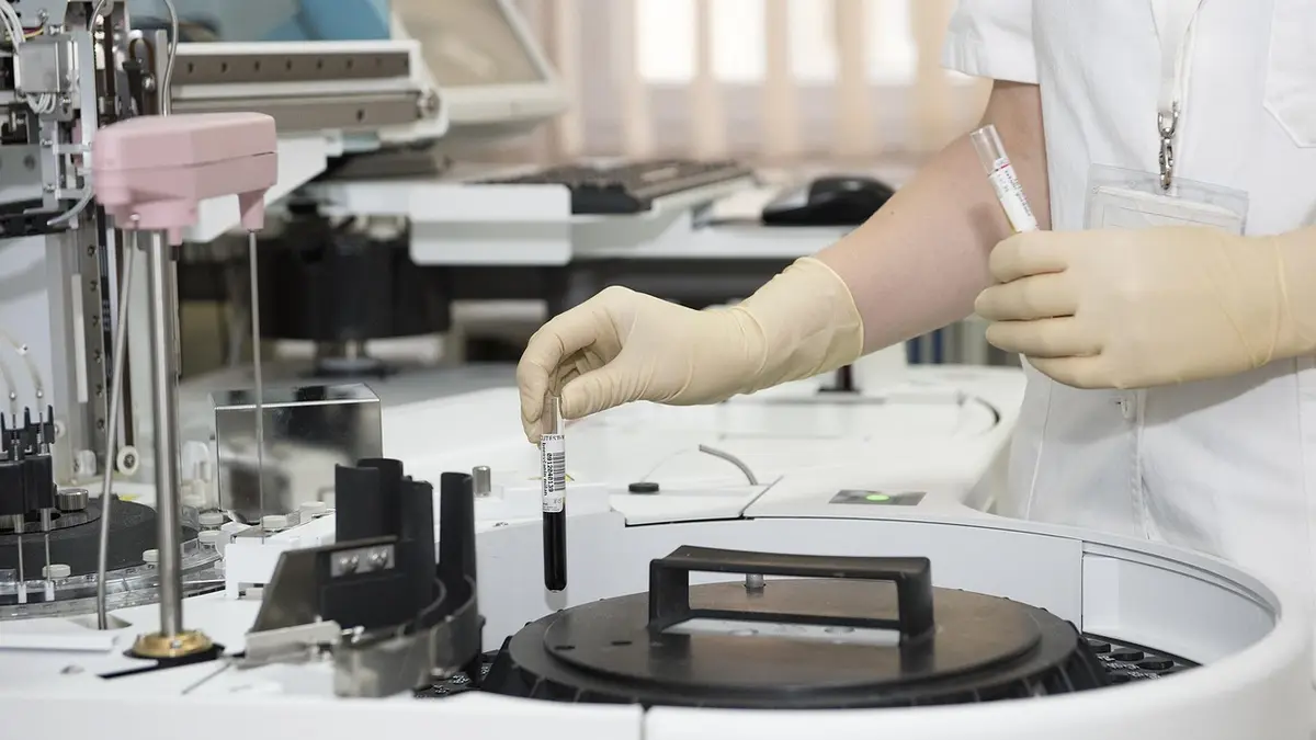 Test tubes in a laboratory.