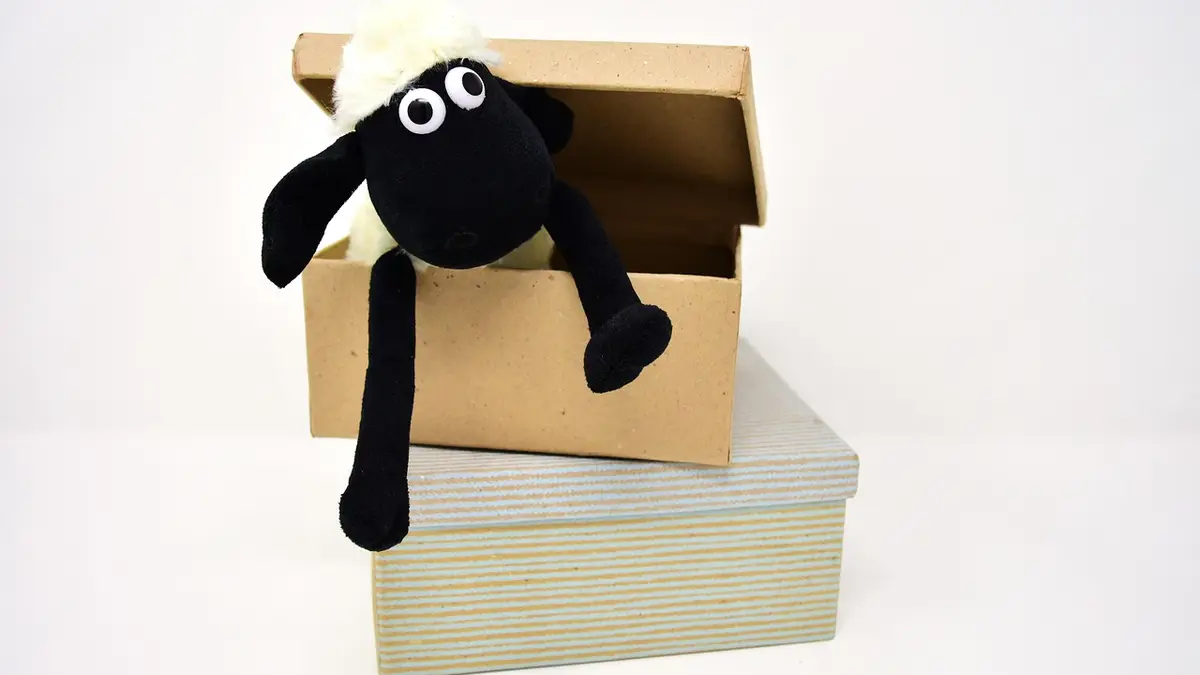 A stuffed sheep toy sits in an open cardboard box.