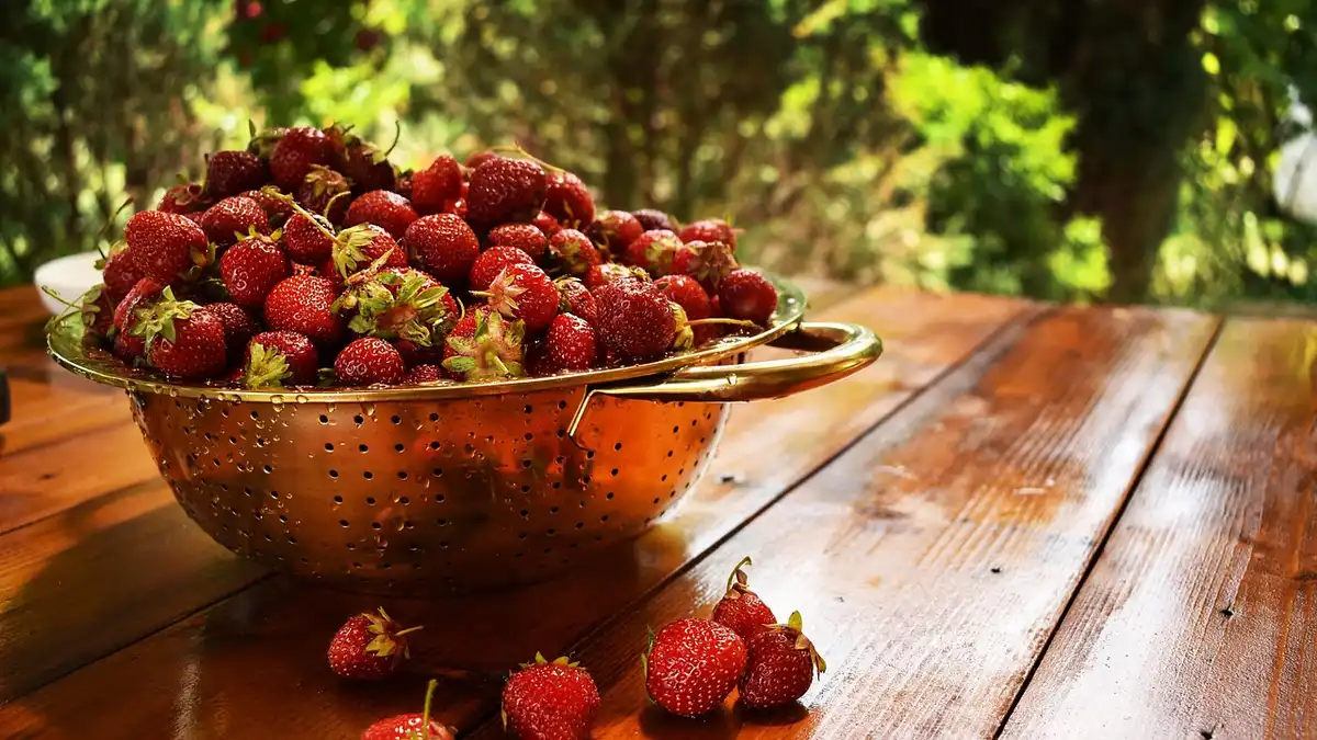 Fresh strawberries in a colander.