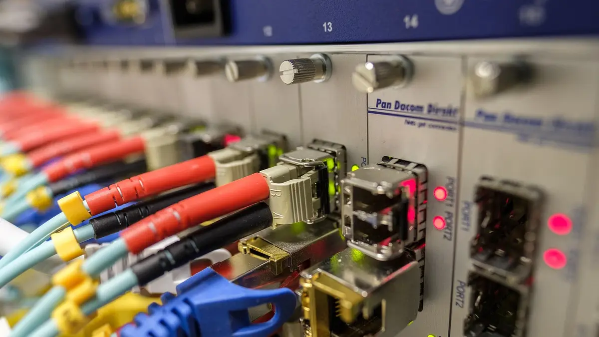 A fibre-optic patch cord with a connector.