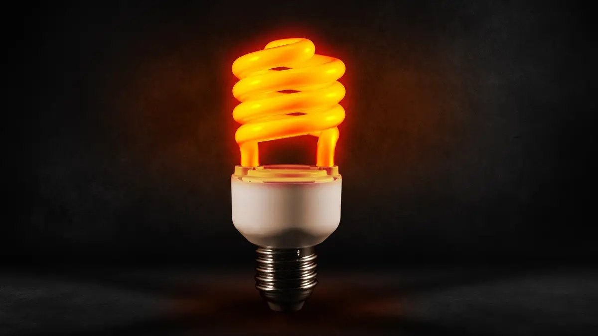 A coiled compact fluorescent lamp with a screw base.