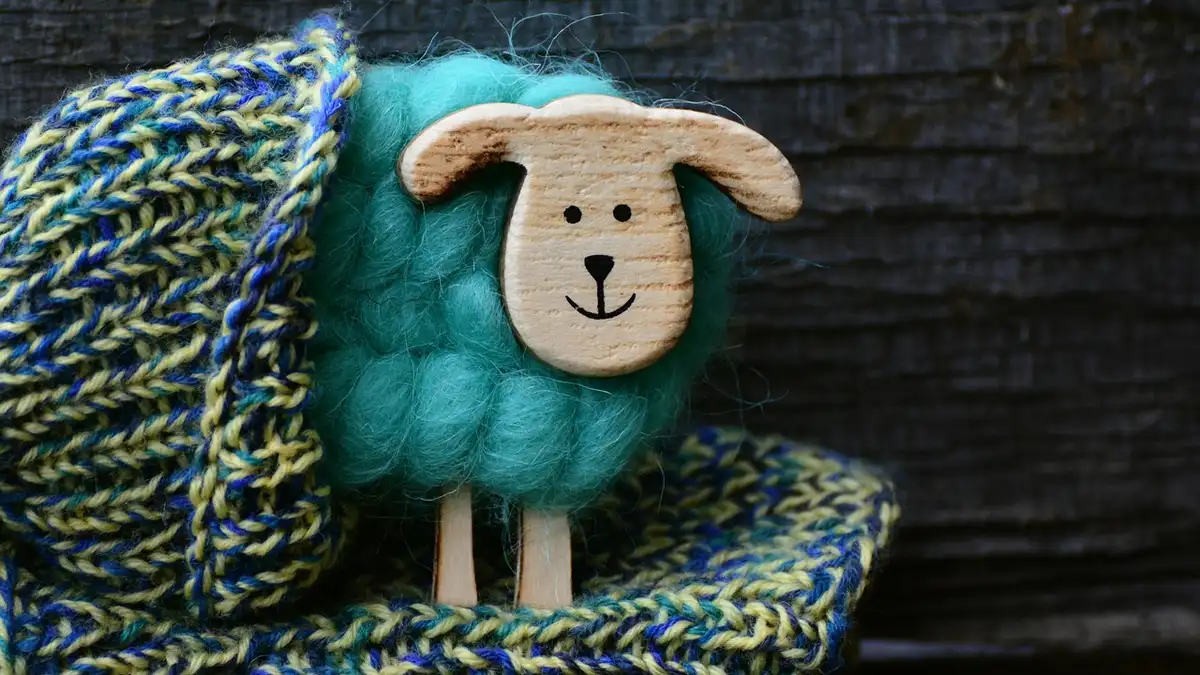 Handmade knitted socks made from sheep wool.