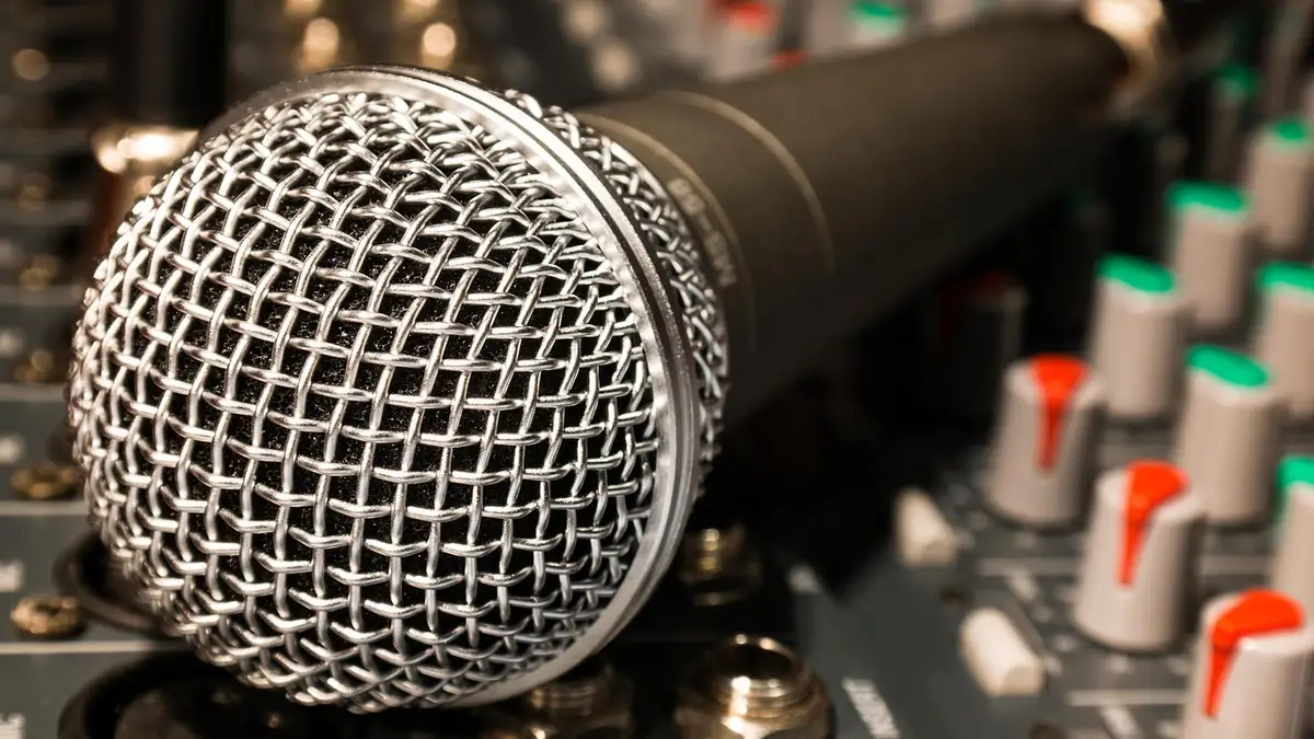 A microphone, microphone cable and audio mixer.