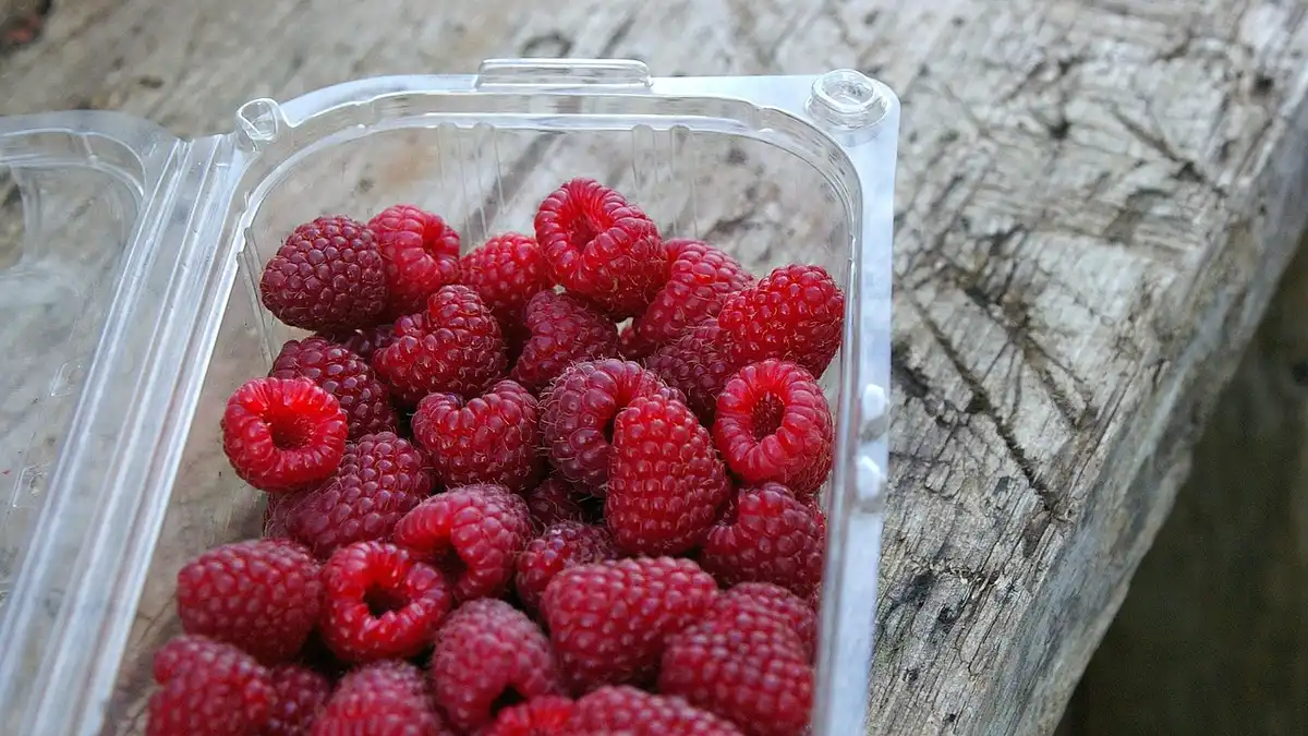 Raspberries in a plastic box.
