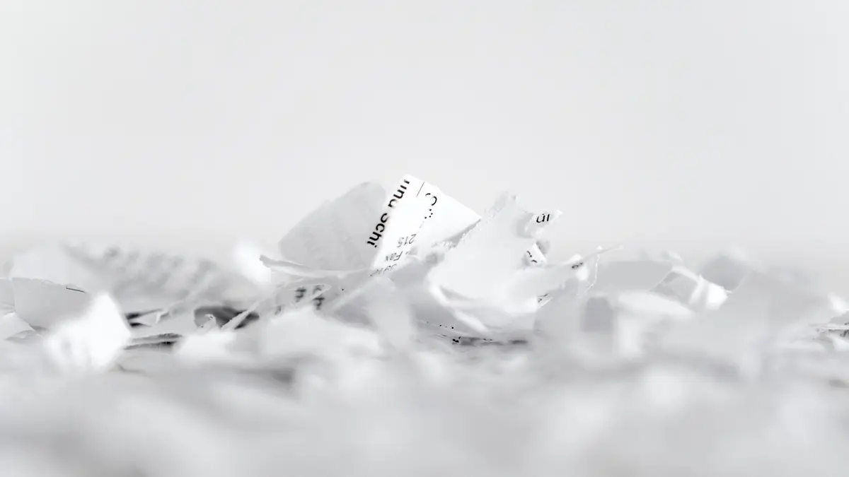 Shredded paper strips and flakes.
