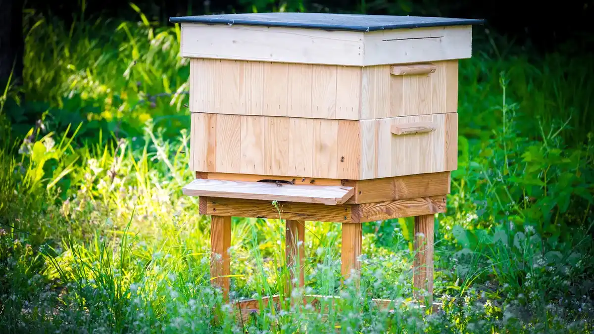 A wooden beehive in a garden.