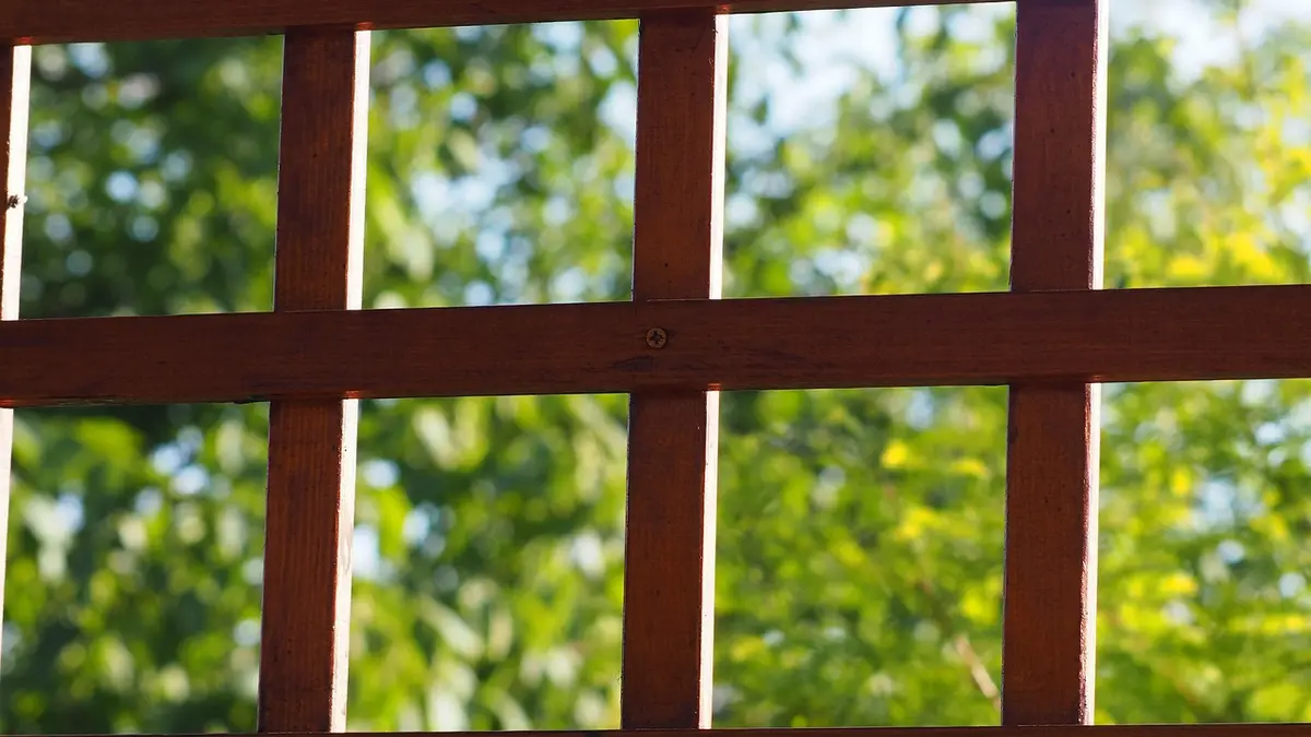 Wooden lattice in a garden pergola.