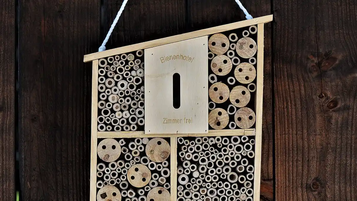 An insect hotel made from a wooden box.